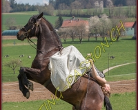 1AMAZONE- 0519